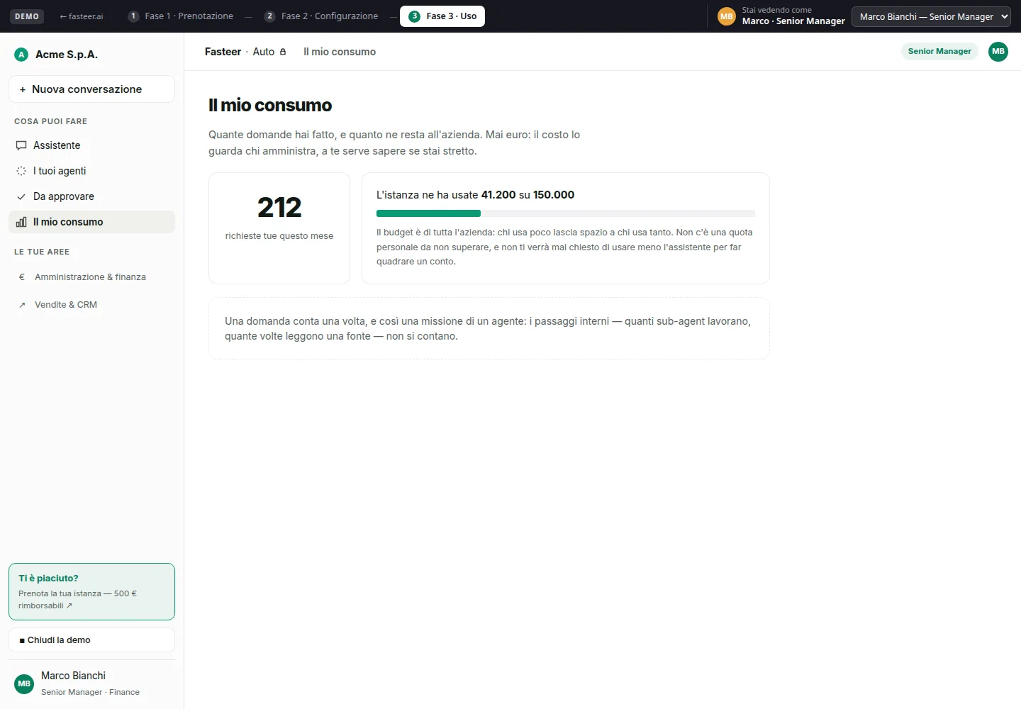 Schermata reale Il mio consumo Fasteer con 212 richieste mensili, utilizzo dell'istanza e barra di avanzamento sul budget disponibile